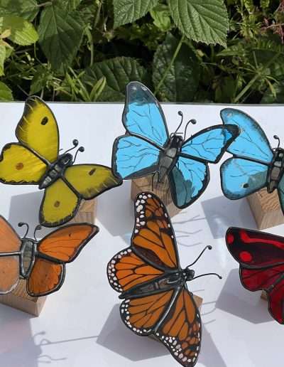 Hand painted butterflies