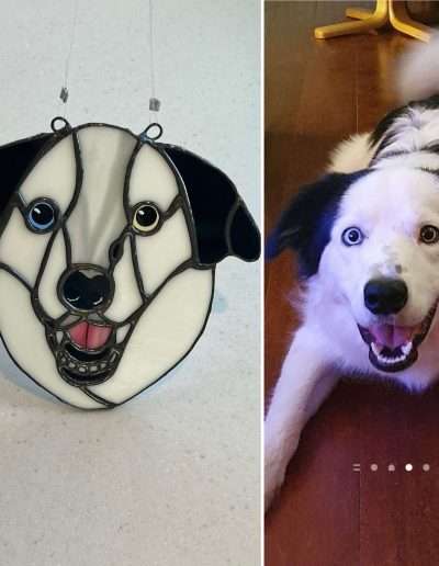 Dog Portrait